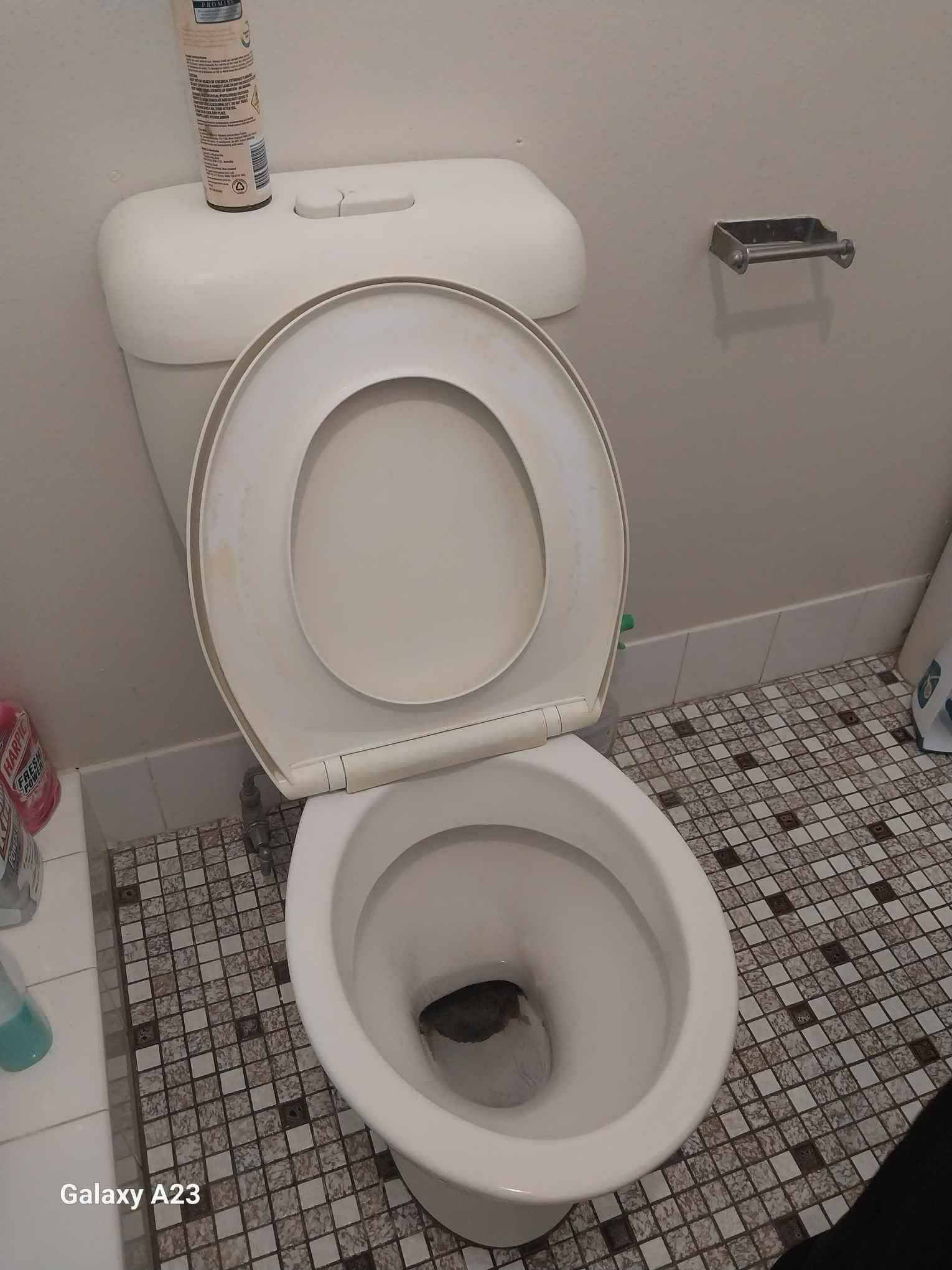 Bathroom Cleaning - After